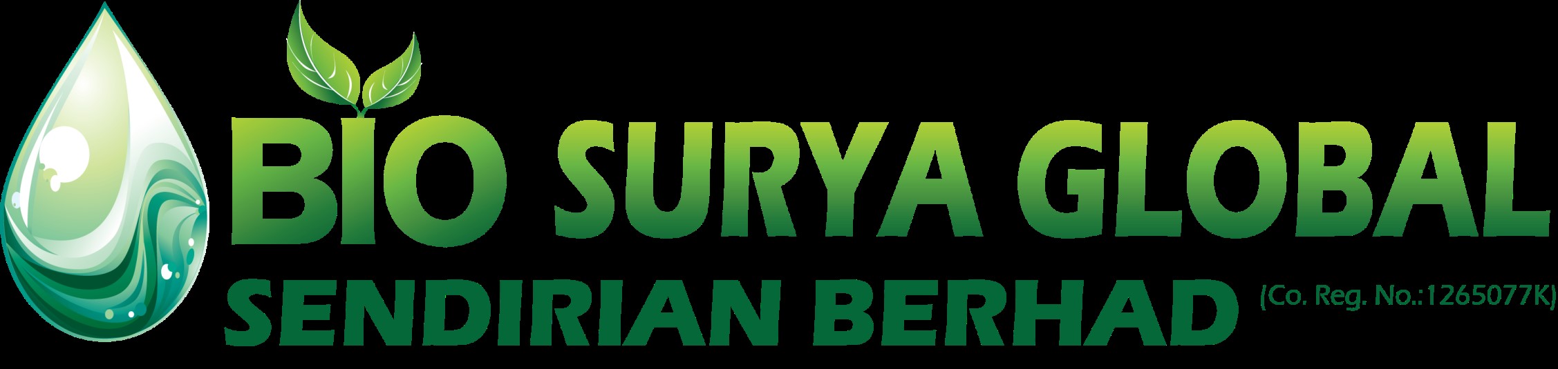 BIO SURYA GLOBAL SDN BHD